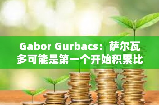 Gabor Gurbacs：薩爾瓦多可能是第一個開始積累比特幣的國家，但很可能不是最后一個