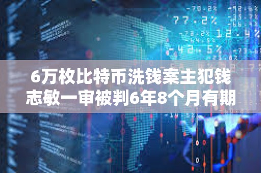 6萬枚比特幣洗錢案主犯錢志敏一審被判6年8個(gè)月有期徒刑