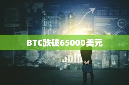 BTC跌破65000美元