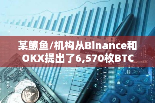 某鯨魚/機構(gòu)從Binance和OKX提出了6,570枚BTC