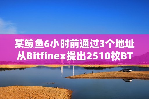 某鯨魚(yú)6小時(shí)前通過(guò)3個(gè)地址從Bitfinex提出2510枚BTC
