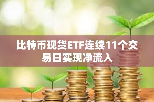 比特幣現(xiàn)貨ETF連續(xù)11個(gè)交易日實(shí)現(xiàn)凈流入