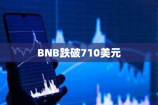 BNB跌破710美元