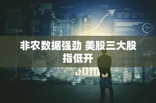 非農數據強勁 美股三大股指低開
