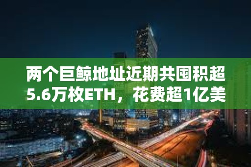兩個(gè)巨鯨地址近期共囤積超5.6萬(wàn)枚ETH，花費(fèi)超1億美元