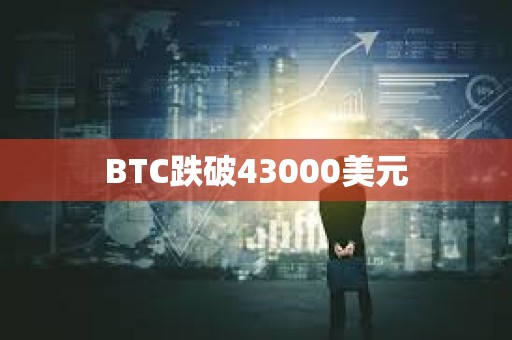BTC跌破43000美元