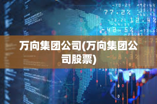 萬向集團公司(萬向集團公司股票)