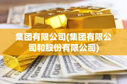 集團有限公司(集團有限公司和股份有限公司)