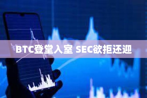 BTC登堂入室 SEC欲拒還迎