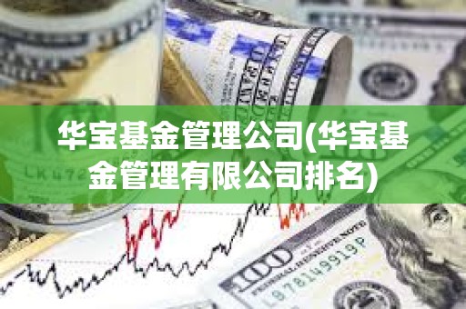 華寶基金管理公司(華寶基金管理有限公司排名)