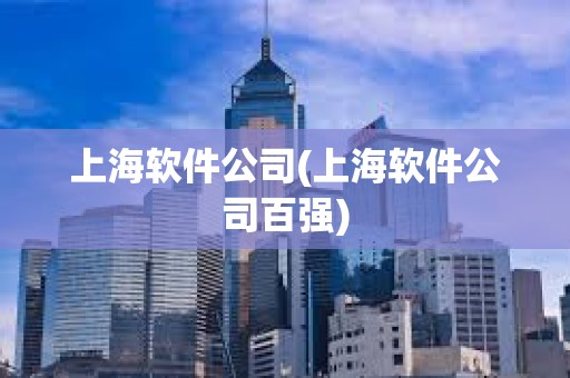 上海軟件公司(上海軟件公司百強)