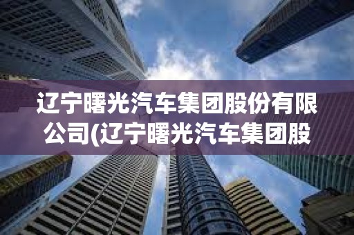 遼寧曙光汽車集團股份有限公司(遼寧曙光汽車集團股份有限公司董事長)